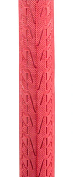 Panaracer T-Serv ProTite 11 Panaracer T-Serv ProTite -Spin City Bikes panaracer t serv 328445 11