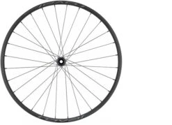 Specialized Control Alloy 350 6B 29 Rear