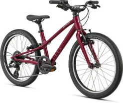 Specialized Jett 20 14 Specialized Jett 20 -Spin City Bikes specialized jett 20 391571 1