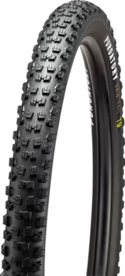 Specialized Purgatory Grid 2Bliss Ready T9