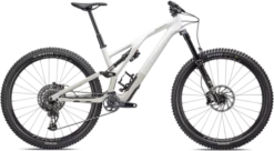 Specialized Stumpjumper EVO Expert