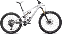 Specialized Stumpjumper EVO Pro