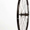 Wheel Shop Alex DM18 Black/Shimano Acera FH-T3000 26-inch Rear -Spin City Bikes the wheel shop double wall 26 inch alex dm 18 shimano acera fh t3000 rear 308186 1 13 3