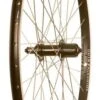 Wheel Shop Alex DM18/Shimano Tourney Rear -Spin City Bikes wheel shop alex dm18 shimano tourney rear 407229 1