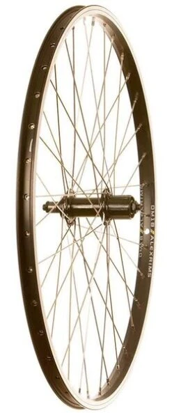 Wheel Shop Alex DM18/Shimano Tourney Rear