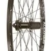 Wheel Shop Alex MD21/Formula DC-20/DC-22/Sapim Leader 26-inch Rear -Spin City Bikes wheel shop alex md21 formula dc 20 dc 22 sapim leader 26 inch rear 403575 1