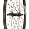 Wheel Shop Evo Tour 20 Black QR 700C/29-inch Front 1 Wheel Shop Evo Tour 20 Black QR 700C/29-inch Front -Spin City Bikes wheel shop evo tour 20 black qr 700c 29 inch front 403553 1