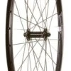 Wheel Shop Road - 700C - Evo Tour 16 Black/Stainless Front -Spin City Bikes wheel shop road 700c evo tour 16 black stainless front 403561 1