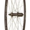 Wheel Shop Road - 700C - Evo Tour 16 Black/Stainless Rear 2 Wheel Shop Road - 700C - Evo Tour 16 Black/Stainless Rear -Spin City Bikes wheel shop road 700c evo tour 16 black stainless rear 403562 1