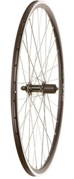 Wheel Shop Road - 700C - Evo Tour 16 Black/Stainless Rear