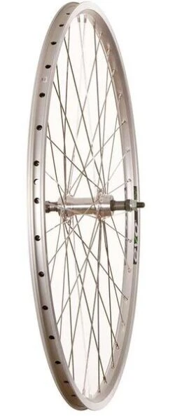 Wheel Shop Touring - 700C - Evo Tour 19 Silver/Stainless Rear 8 Wheel Shop Touring - 700C - Evo Tour 19 Silver/Stainless Rear -Spin City Bikes wheel shop touring 700c evo tour 19 silver stainless rear 403566 1