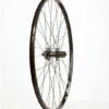 Wheel Shop XC/Trail - 29-inch - Mavic XM119/Sapim Leader Rear -Spin City Bikes wheel shop xc trail 29 inch mavic xm119 sapim leader rear 403609 11