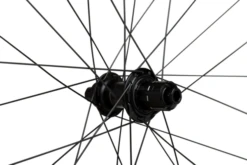 WTB Proterra Light I25 650B Rear