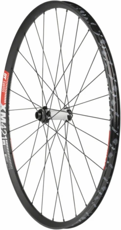 Dt-swiss DT Swiss 350/XM421 Front Wheel